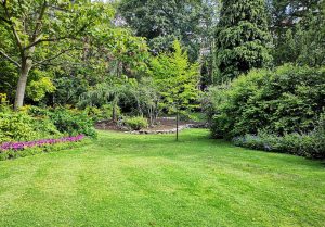 Optimiser l'expérience du jardin à Rivarennes